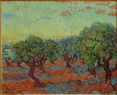 Olive Grove by Vincent van Gogh
